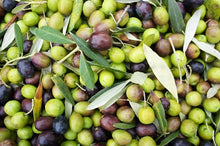 100% Italian Extra Virgin Olive Oil - Capasso Tartufi - Olio Extravergine di Oliva