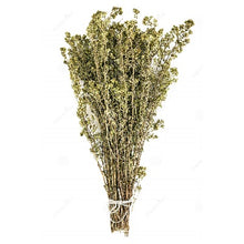 Sicilian Dried Stick Oregano Herb 100% Authentic  - 50 grams