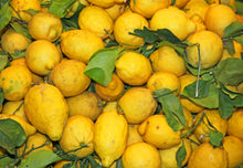 Organic Lemons of Siracusa Sicily Marmalade Agrisicilia - I.G.P. – 360g